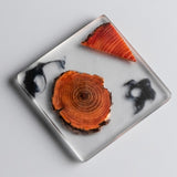 Orlen - Resin Pinewood Coasters